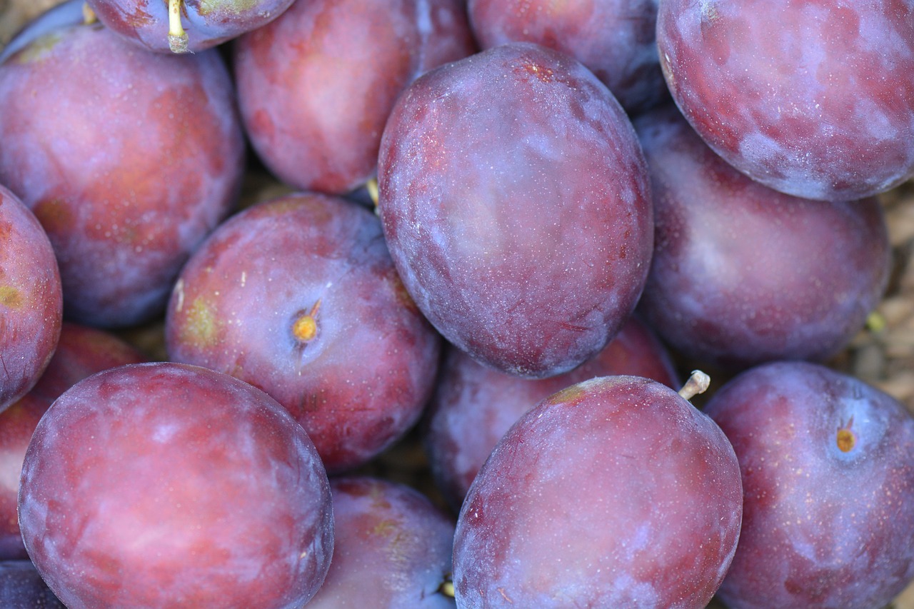 Welke vitamine helpt tegen vermoeidheid en stress?
