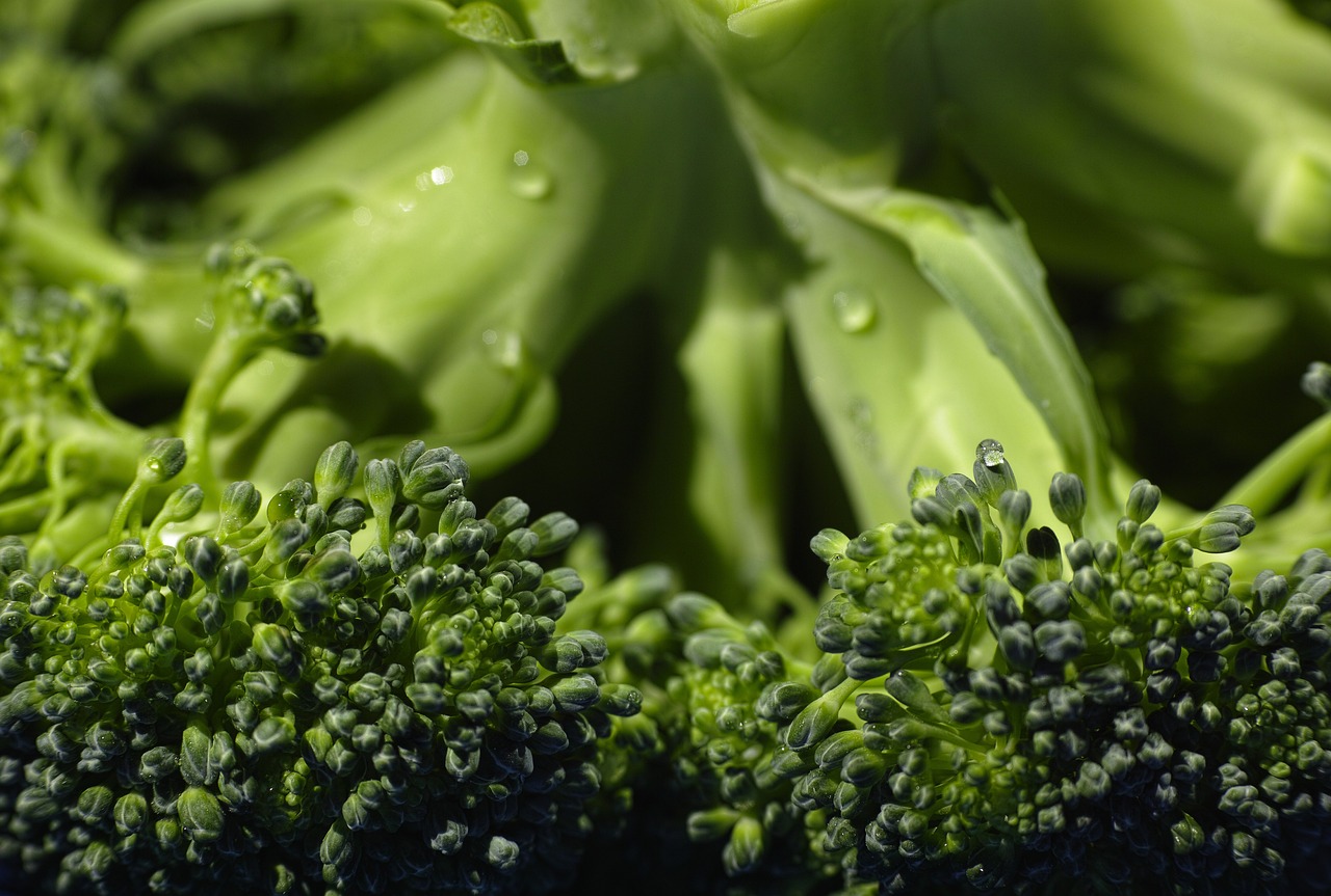 Kan goed eten en kruiden je slimmer maken? Ontdek het!